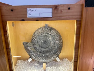 福井県立恐竜博物館に投稿された画像（2023/8/2）