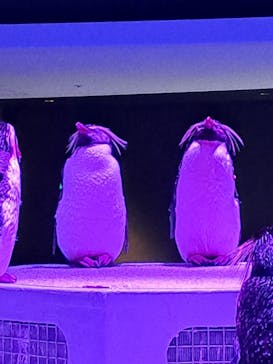 AOAO SAPPOROに投稿された画像（2023/8/2）