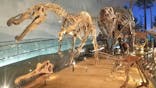 福井県立恐竜博物館に投稿された画像（2023/8/2）