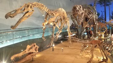 福井県立恐竜博物館に投稿された画像（2023/8/2）