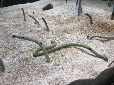 AOAO SAPPOROに投稿された画像（2023/8/2）