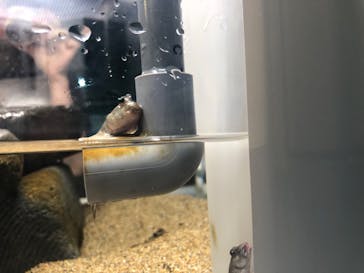 AOAO SAPPOROに投稿された画像（2023/8/2）