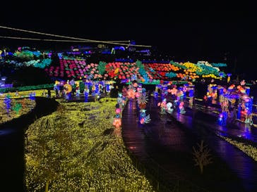 伊豆ぐらんぱる公園に投稿された画像（2023/8/2）