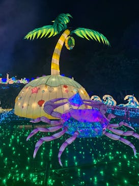 伊豆ぐらんぱる公園に投稿された画像（2023/8/2）