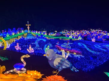伊豆ぐらんぱる公園に投稿された画像（2023/8/2）