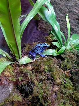 ぶっとんでるいきもの展に投稿された画像（2023/8/2）