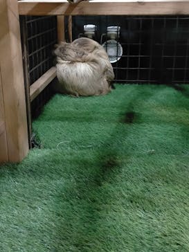 ぶっとんでるいきもの展に投稿された画像（2023/8/2）