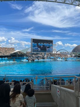 名古屋港水族館に投稿された画像（2023/8/2）