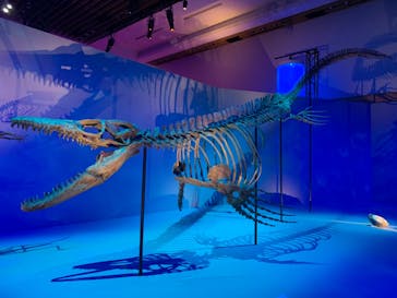 DinoScience 恐竜科学博 2023@TOKYO MIDTOWNに投稿された画像（2023/8/2）