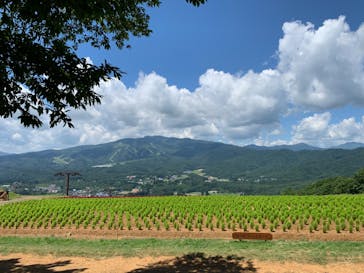 ひるがのピクニックガーデンに投稿された画像（2023/8/2）