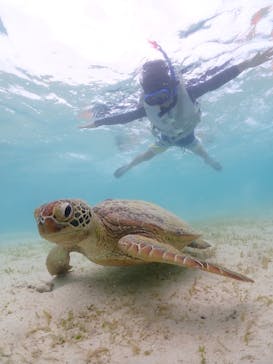 宮古島マリン GB QUESTに投稿された画像（2023/8/2）