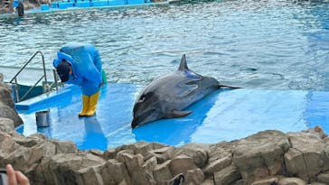 名古屋港水族館に投稿された画像（2023/8/2）