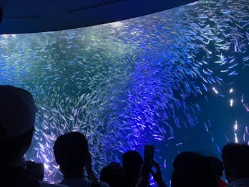 名古屋港水族館に投稿された画像（2023/8/2）