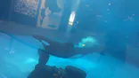 名古屋港水族館に投稿された画像（2023/8/3）