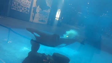 名古屋港水族館に投稿された画像（2023/8/2）