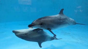 名古屋港水族館に投稿された画像（2023/8/2）