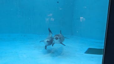 名古屋港水族館に投稿された画像（2023/8/2）