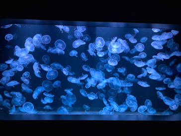 AOAO SAPPOROに投稿された画像（2023/8/2）