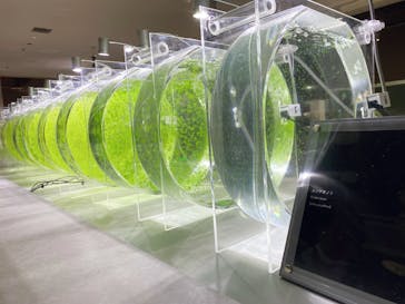 AOAO SAPPOROに投稿された画像（2023/8/2）