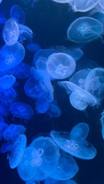 AOAO SAPPOROに投稿された画像（2023/8/2）