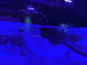 AOAO SAPPOROに投稿された画像（2023/8/2）