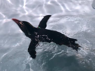 AOAO SAPPOROに投稿された画像（2023/8/2）