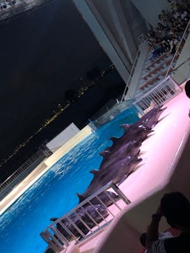 マリンワールド海の中道に投稿された画像（2023/8/2）