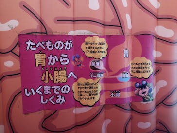 超からだのひみつ大冒険 in 新潟に投稿された画像（2023/8/2）