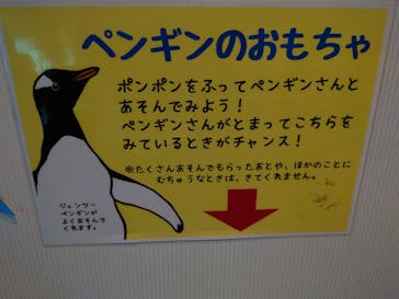 名古屋港水族館に投稿された画像（2023/8/2）