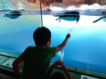 名古屋港水族館に投稿された画像（2023/8/2）