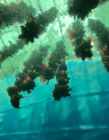 仙台うみの杜水族館に投稿された画像（2023/8/3）