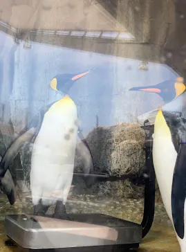仙台うみの杜水族館に投稿された画像（2023/8/2）