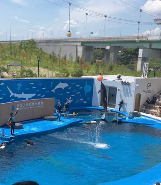 仙台うみの杜水族館に投稿された画像（2023/8/2）