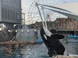 名古屋港水族館に投稿された画像（2023/8/3）
