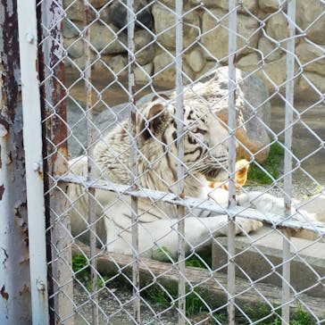 東武動物公園に投稿された画像（2023/8/2）