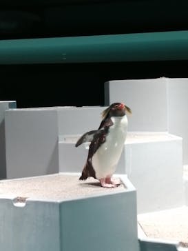 AOAO SAPPOROに投稿された画像（2023/8/2）