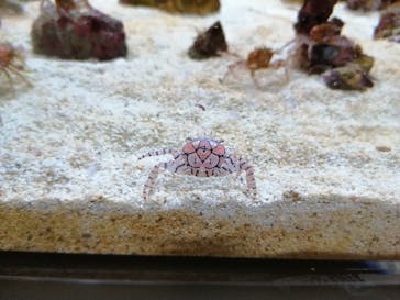 AOAO SAPPOROに投稿された画像（2023/8/2）