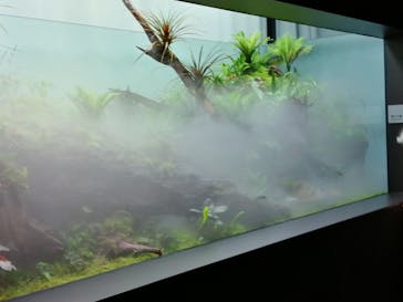 AOAO SAPPOROに投稿された画像（2023/8/2）