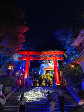 江の島シーキャンドルに投稿された画像（2023/8/3）