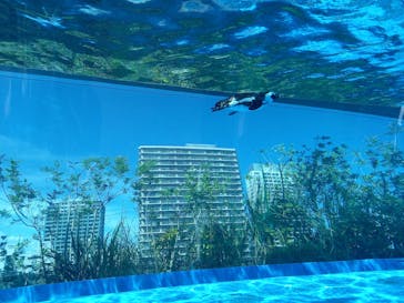 サンシャイン水族館に投稿された画像（2023/8/3）