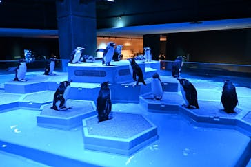 AOAO SAPPOROに投稿された画像（2023/8/3）