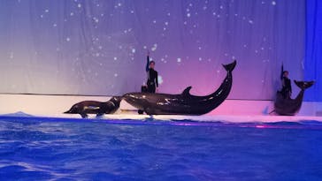 アクアワールド茨城県大洗水族館に投稿された画像（2023/8/3）