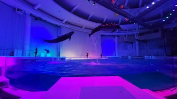 アクアワールド茨城県大洗水族館に投稿された画像（2023/8/3）