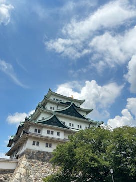 名古屋城に投稿された画像（2023/8/3）