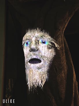 しながわ水族館に投稿された画像（2023/8/3）