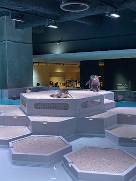 AOAO SAPPOROに投稿された画像（2023/8/3）