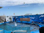 仙台うみの杜水族館に投稿された画像（2023/8/3）