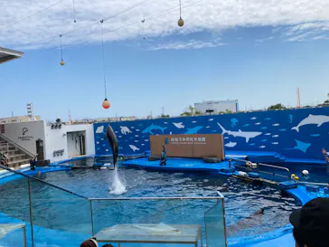 仙台うみの杜水族館に投稿された画像（2023/8/3）