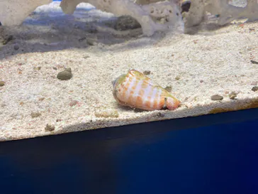 仙台うみの杜水族館に投稿された画像（2023/8/3）