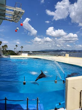 マリンワールド海の中道に投稿された画像（2023/8/3）